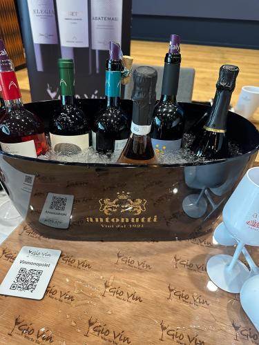vinmesse-11